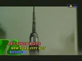 New York city boy